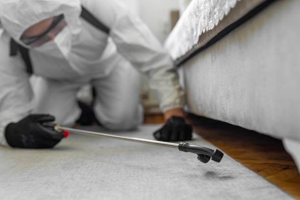 Professional Mosquito Control technician working in Peculiar, MO
